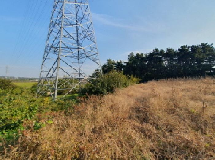 전북 김제시 백산면 전답 경매 물건 사진 4 · 2025타경31853