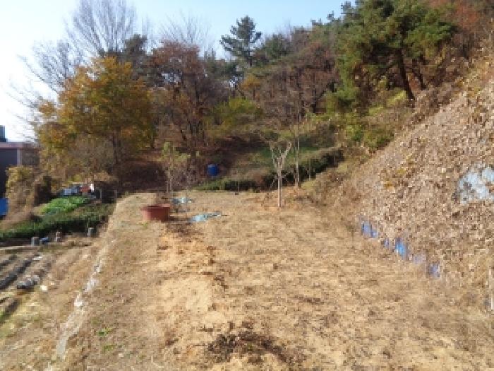 전북 전주시 완산구 임야 경매 물건 사진