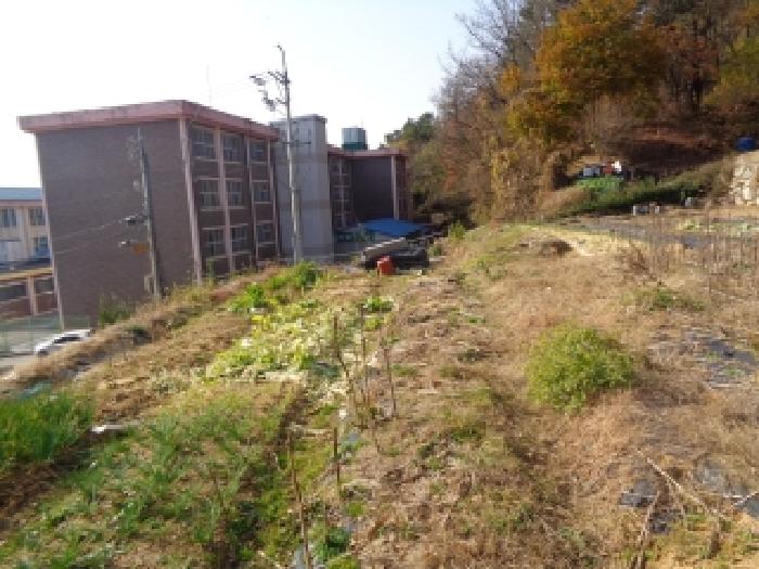 전북 전주시 완산구 임야 경매 물건 사진 2 · 2025타경31926