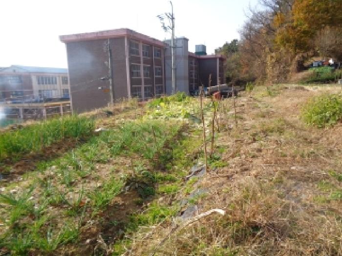전북 전주시 완산구 임야 경매 물건 사진 3 · 2025타경31926