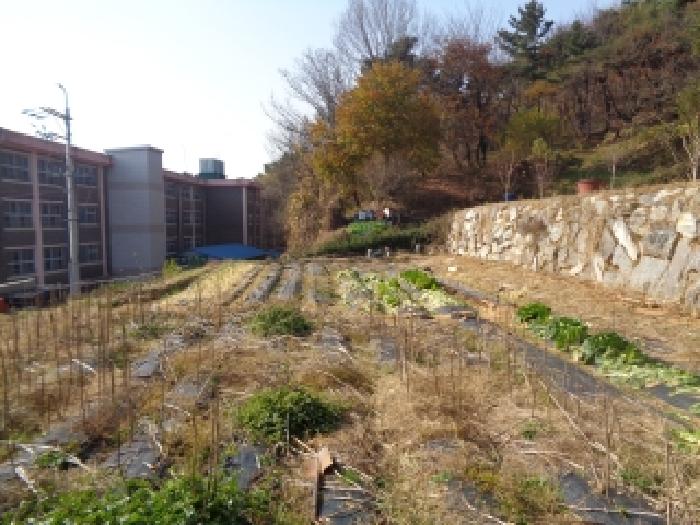 전북 전주시 완산구 임야 경매 물건 사진 5 · 2025타경31926