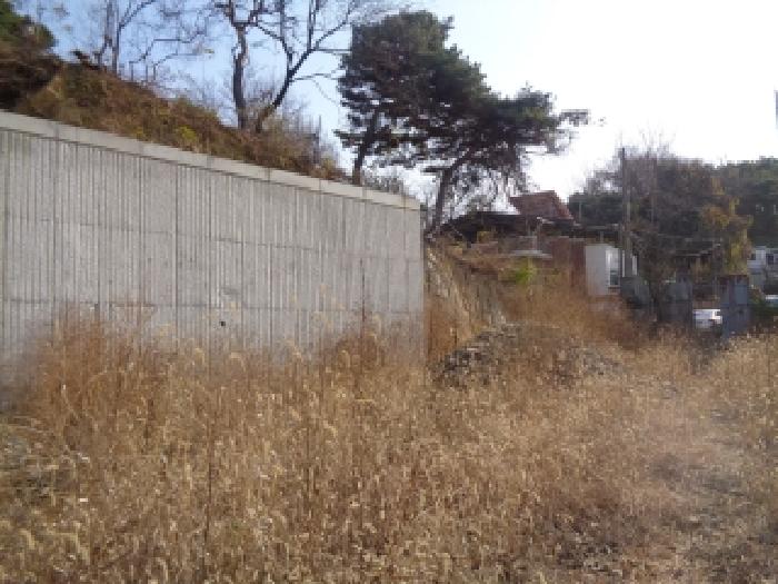 전북 전주시 완산구 중화산동1가 도로 경매 물건 사진 2 · 2025타경31932