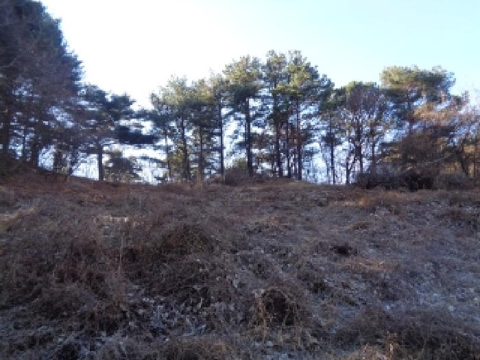 전북 무주군 설천면 임야 경매 물건 사진 5 · 2025타경31955