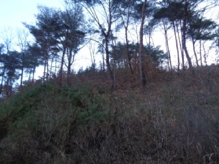 전북 진안군 용담면 임야 경매 물건 사진