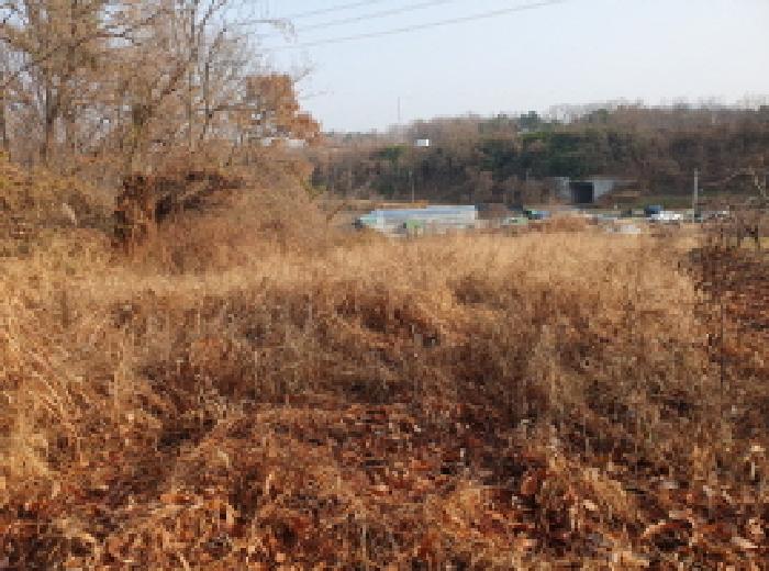 전북 완주군 이서면 임야 경매 물건 사진
