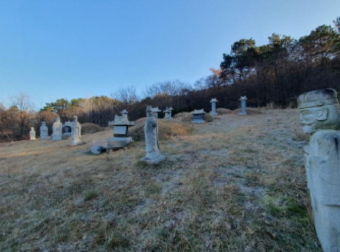 전북 전주시 덕진구 여의동 단독주택다가구 경매 물건 사진