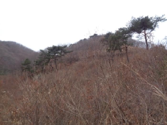 전북 완주군 동상면 임야 경매 물건 사진