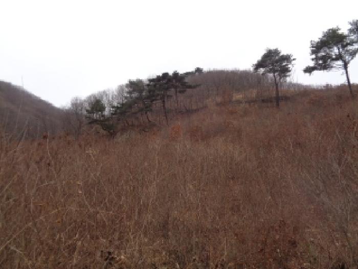 전북 완주군 동상면 임야 경매 물건 사진 2 · 2025타경32016