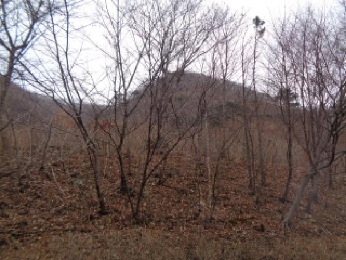 전북 완주군 동상면 임야 경매 물건 사진 3 · 2025타경32016