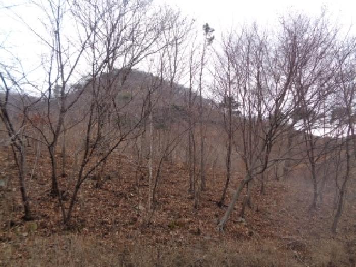 전북 완주군 동상면 임야 경매 물건 사진 4 · 2025타경32016
