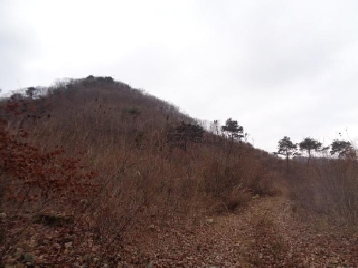 전북 완주군 동상면 임야 경매 물건 사진 5 · 2025타경32016