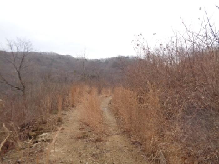 전북 완주군 동상면 임야 경매 물건 사진 6 · 2025타경32016