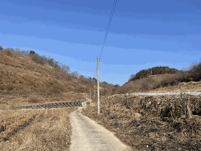 전북 진안군 성수면 임야 경매 물건 사진 4 · 2025타경32019