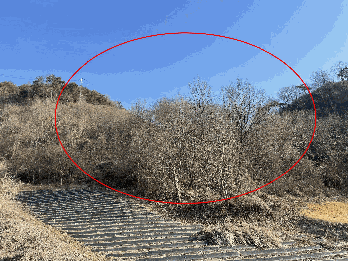 전북 진안군 성수면 임야 경매 물건 사진 5 · 2025타경32019