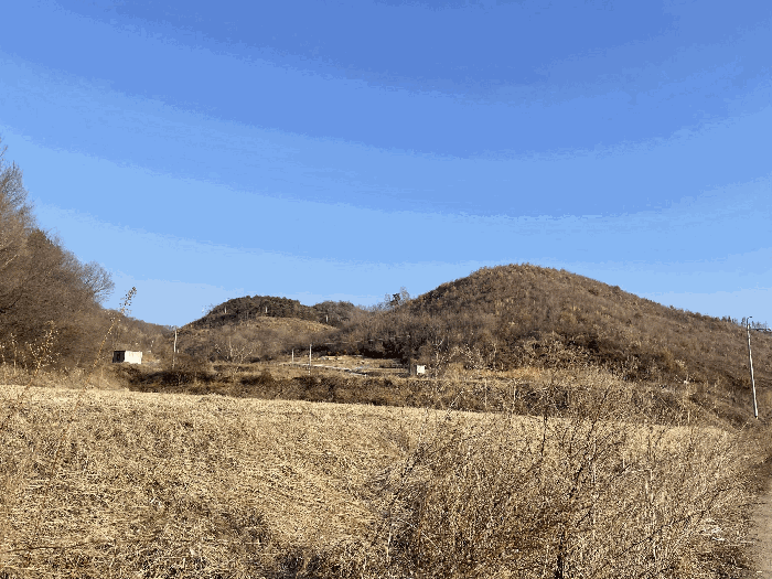 전북 진안군 성수면 임야 경매 물건 사진 6 · 2025타경32019