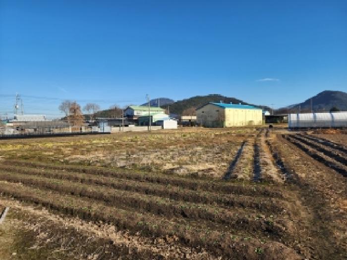 전북 김제시 금산면 전답 경매 물건 사진 5 · 2025타경32075