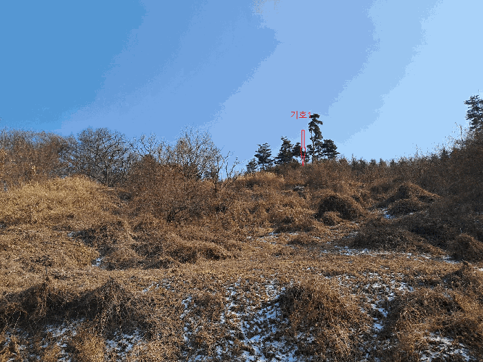 전북특별자치도 무주군 안성면 금평리 1063-2 임야 경매 물건 사진