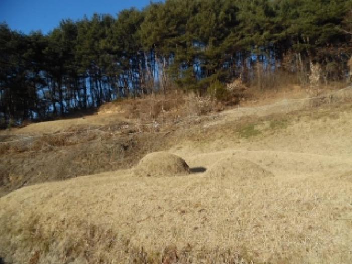전북 무주군 안성면 임야 경매 물건 사진 4 · 2025타경32080