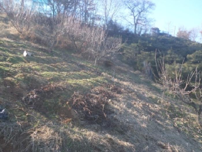 전북 전주시 완산구 대지,임야,전답 경매 물건 사진
