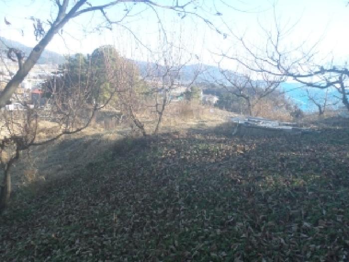 전북 전주시 완산구 대지,임야,전답 경매 물건 사진 3 · 2025타경32089