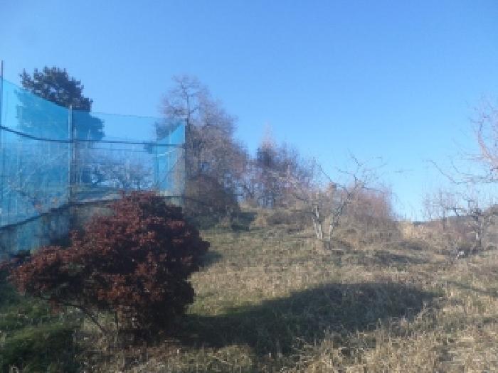 전북 전주시 완산구 대지,임야,전답 경매 물건 사진 4 · 2025타경32089
