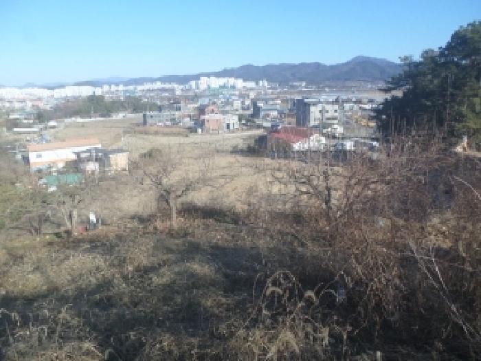 전북 전주시 완산구 대지,임야,전답 경매 물건 사진 6 · 2025타경32089