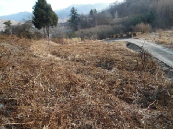 전북 진안군 진안읍 답 경매 물건 사진 4 · 2025타경32111