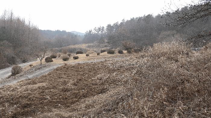 전북 진안군 진안읍 답 경매 물건 사진 3 · 2025타경32111