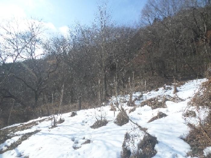 전북 완주군 구이면 임야 경매 물건 사진 3 · 2025타경538