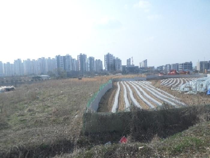 전북 전주시 덕진구 만성동 근린생활시설 경매 물건 사진 5 · 2025타경587