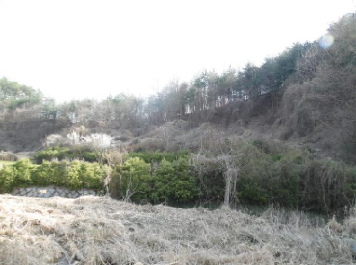 전북 완주군 소양면 임야 경매 물건 사진