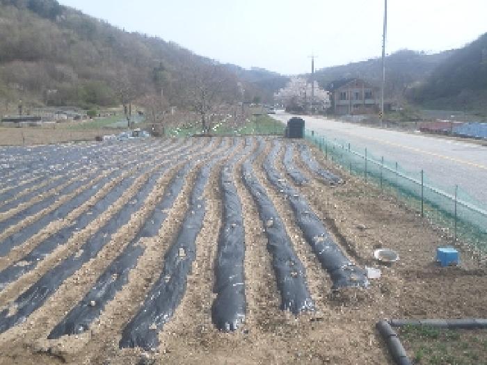 전북 임실군 관촌면 단독주택다가구 경매 물건 사진 6 · 2025타경639
