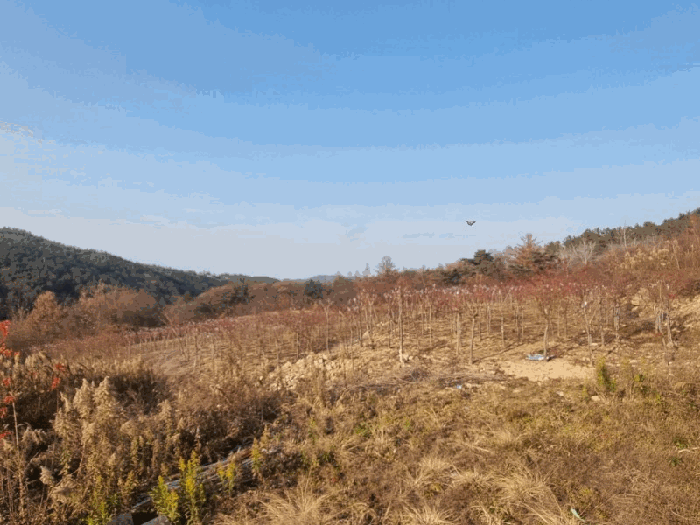 전북특별자치도 임실군 임실읍 정월리 928 답 경매 물건 사진