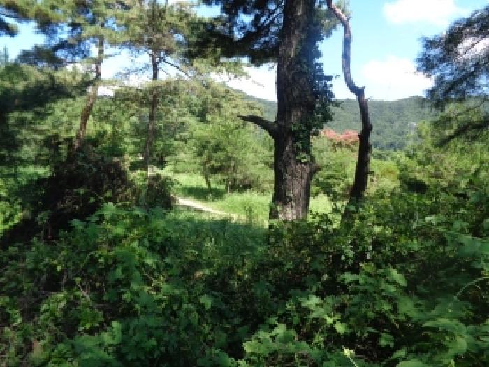 전북 전주시 완산구 색장동 전답 경매 물건 사진
