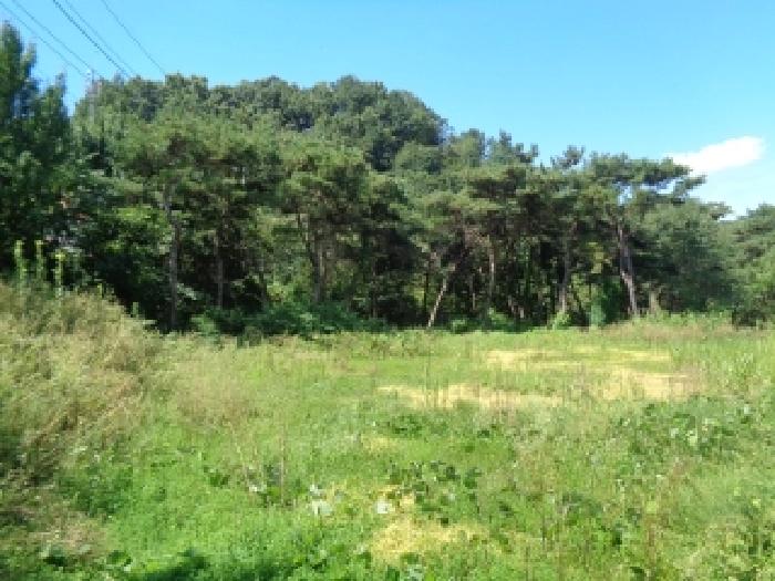 전북 전주시 완산구 색장동 전답 경매 물건 사진 3 · 2025타경828