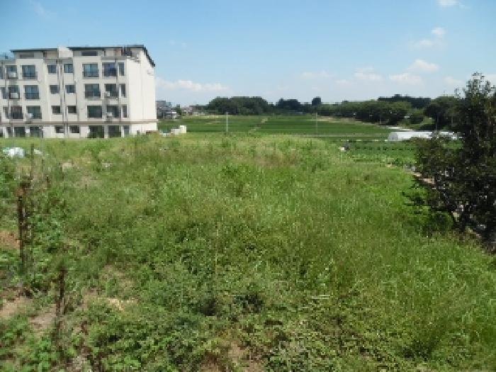 전북 완주군 이서면 대지 경매 물건 사진 5 · 2025타경839