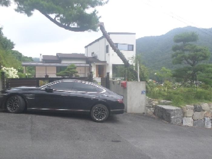 전북 전주시 덕진구 강흥동 전답 경매 물건 사진
