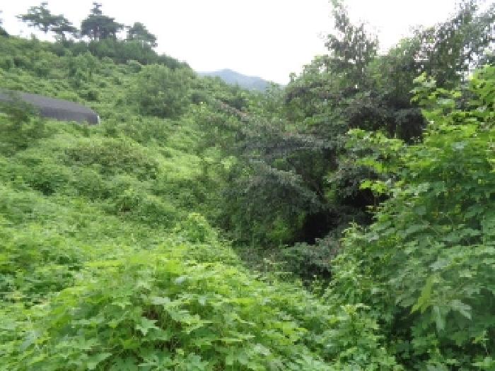 전북 무주군 무풍면 임야 경매 물건 사진