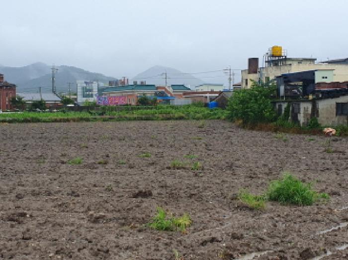 전북 김제시 금산면 답 경매 물건 사진 4 · 2025타경891