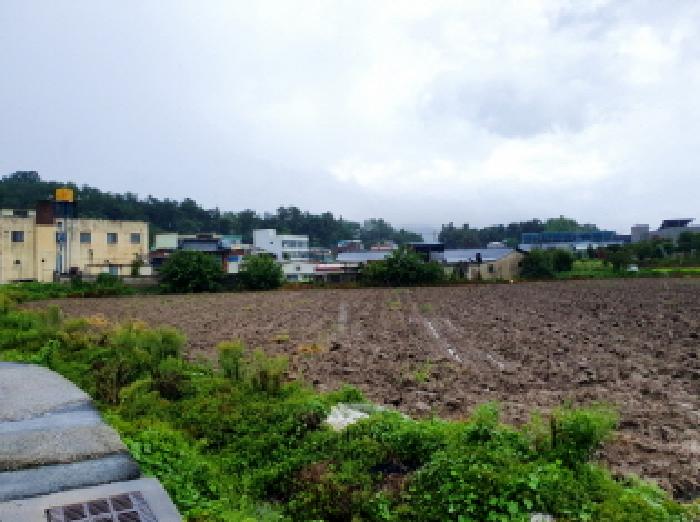 전북 김제시 금산면 답 경매 물건 사진 6 · 2025타경891