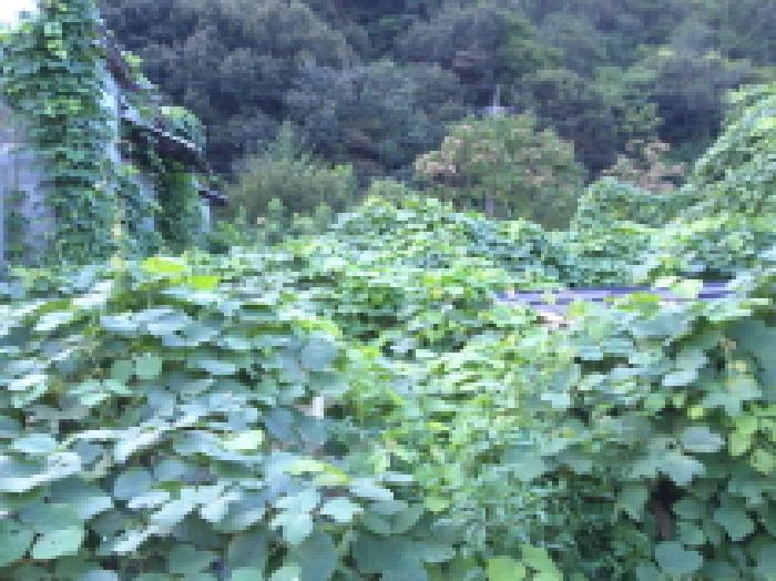 전북 완주군 구이면 공장/지식산업센터 경매 물건 사진 5 · 2025타경914