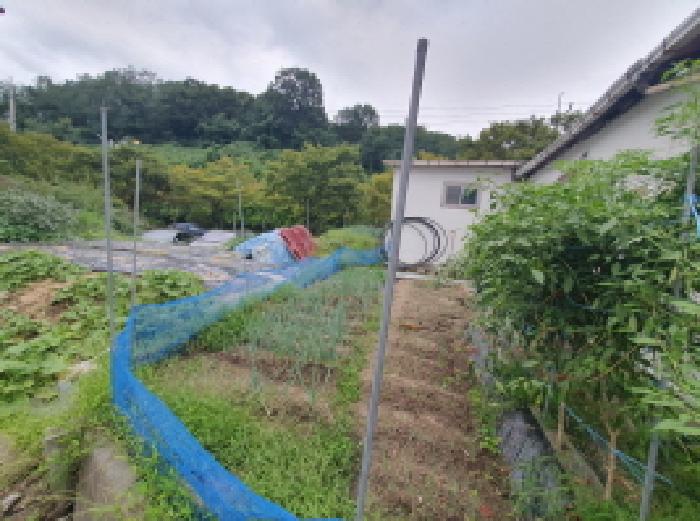 전북 전주시 완산구 중노송동 대지 경매 물건 사진 5 · 2025타경938