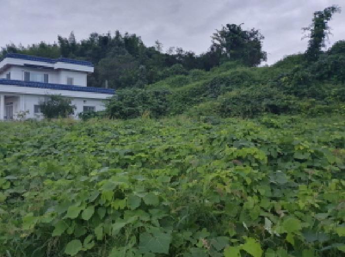 전북 전주시 완산구 대지 경매 물건 사진