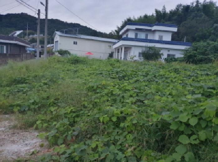전북 전주시 완산구 대지 경매 물건 사진 2 · 2025타경939