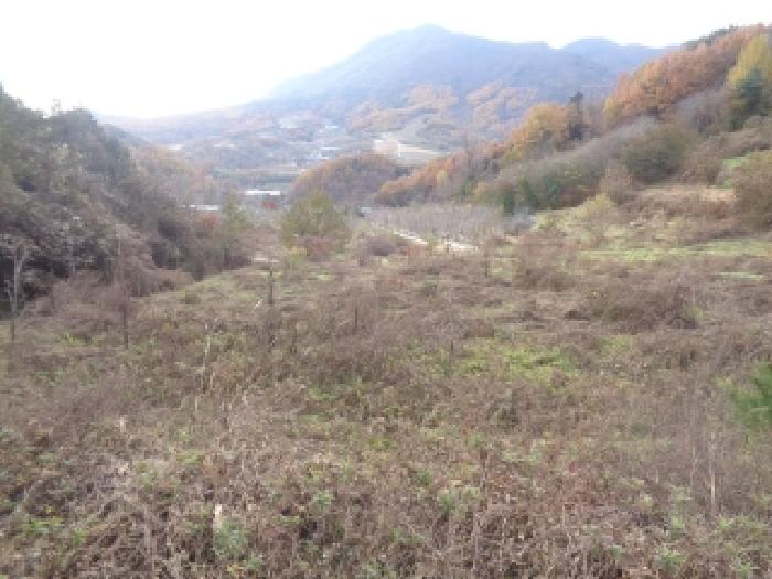 전북 무주군 무풍면 대지,임야,전답 경매 물건 사진 6 · 2025타경975
