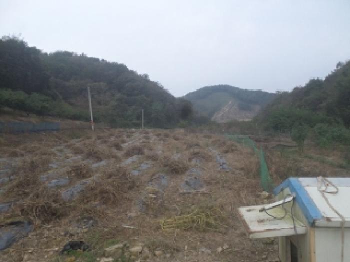 전북 임실군 신덕면 전답 경매 물건 사진 2 · 2025타경982