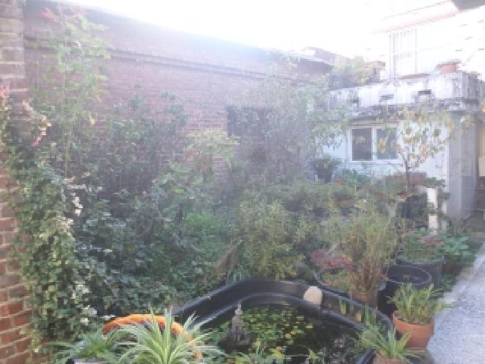 전북 전주시 완산구 전동3가 대지 경매 물건 사진 6 · 2025타경987