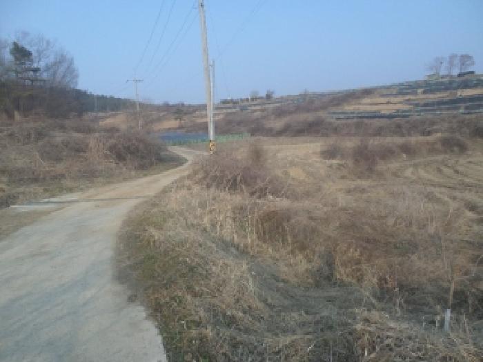 전북 임실군 신평면 임야 경매 물건 사진