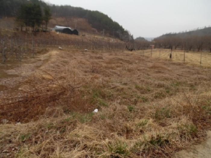 전북 무주군 무풍면 전답 경매 물건 사진