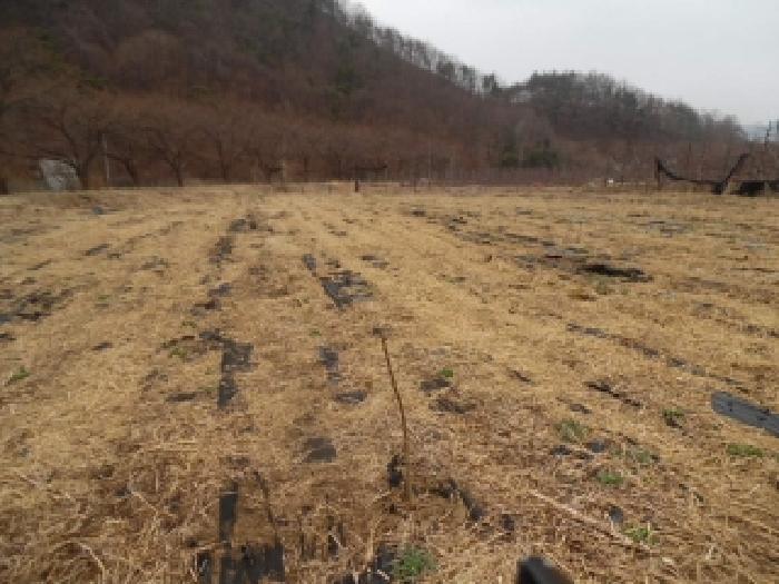 전북 무주군 무풍면 전답 경매 물건 사진 3 · 2026타경139